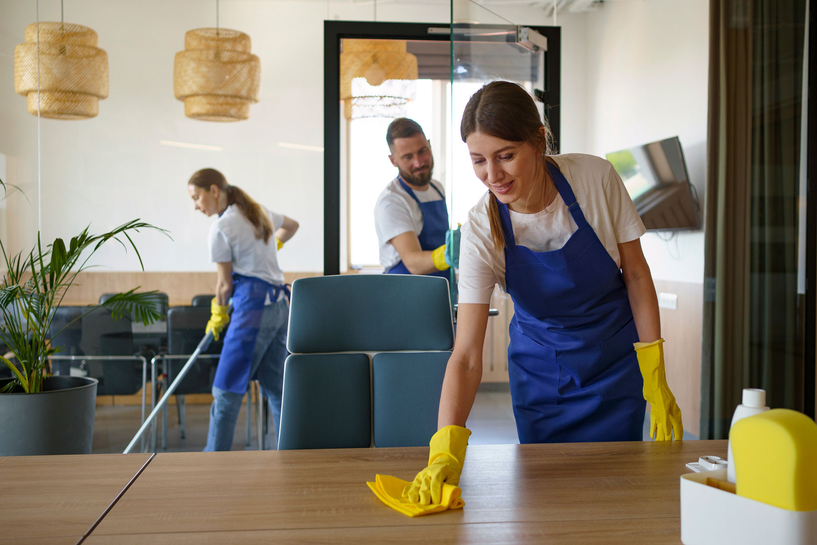 Professional Cleaning